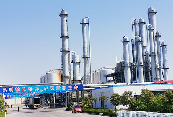 Hebei Xue Run Biological Technology Co., Ltd.